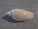 DSCN3020.webp