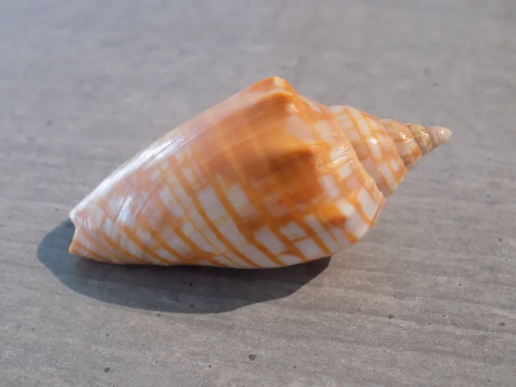 DSCN3026.webp