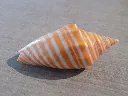 DSCN3037.webp