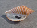 DSCN3038.webp