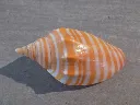 DSCN3039.webp