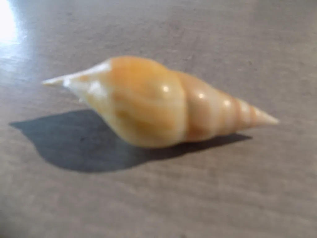 DSCN3057.webp