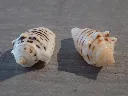 DSCN3069.webp