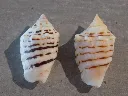 DSCN3070.webp