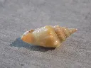 DSCN3094.webp