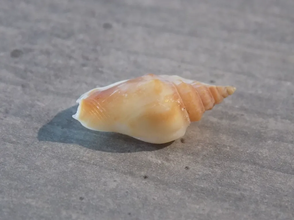 DSCN3098.webp