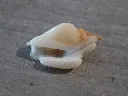 DSCN3099.webp