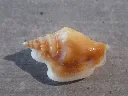 DSCN3101.webp