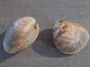 DSCN3104.webp