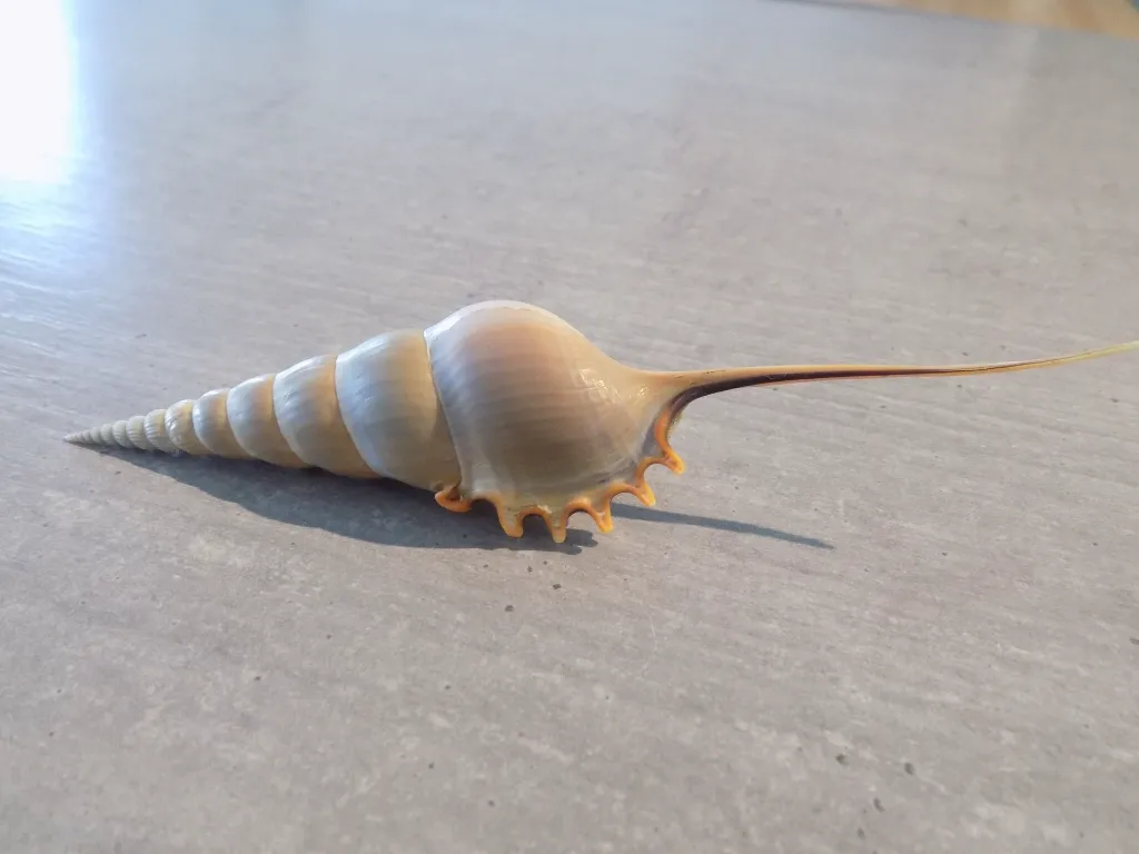 DSCN3192.webp