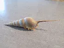 DSCN3192.webp