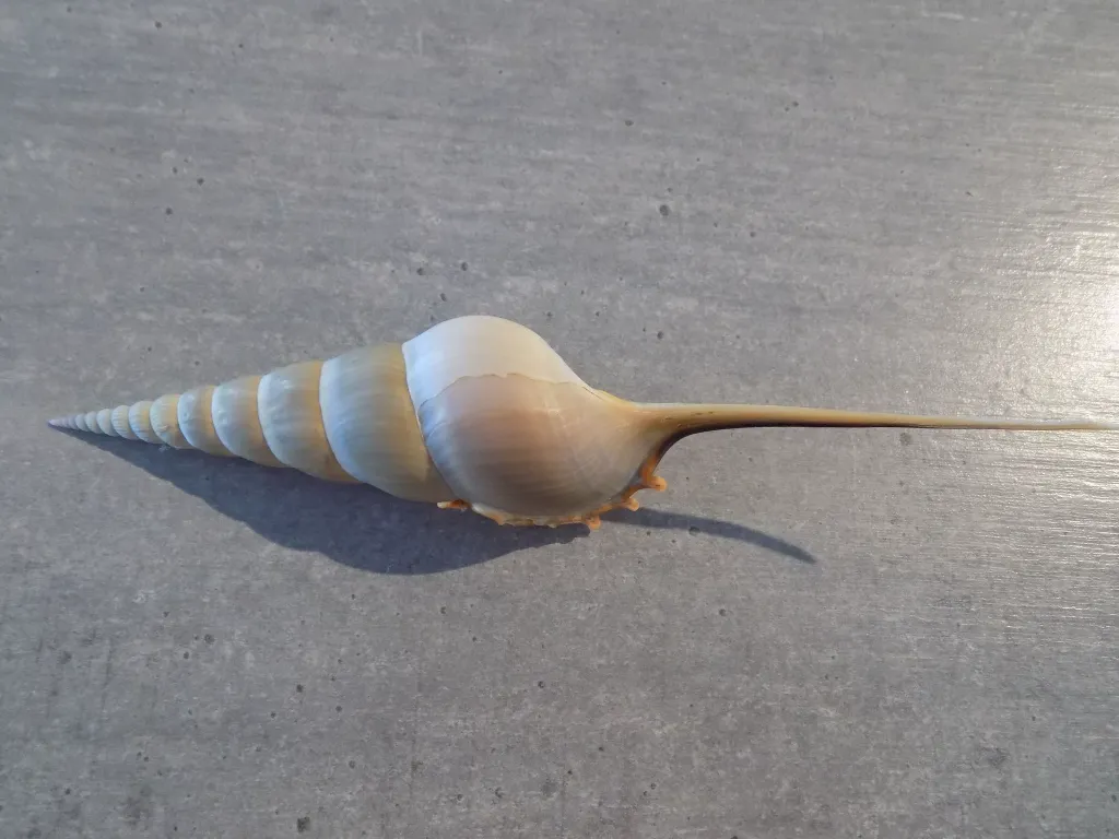 DSCN3193.webp