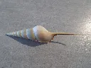 DSCN3193.webp