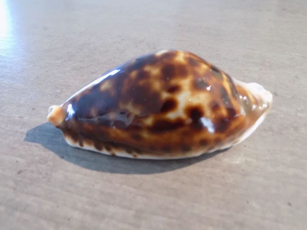 DSCN3115.webp