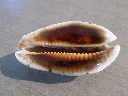 DSCN3116.webp