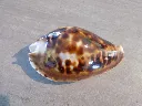 DSCN3118.webp