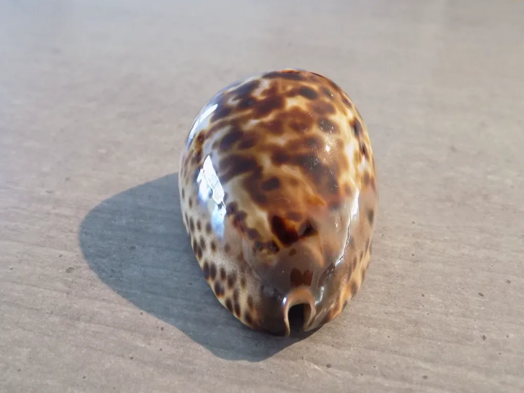 DSCN3122.webp