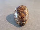 DSCN3122.webp