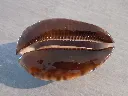 DSCN3125.webp