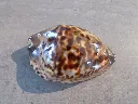 DSCN3127.webp