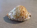 DSCN3139.webp