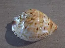 DSCN3147.webp