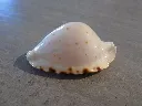 DSCN3149.webp