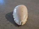 DSCN3150.webp