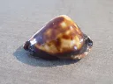 DSCN3156.webp