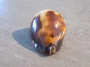 DSCN3158.webp