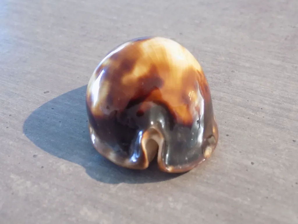 DSCN3159.webp