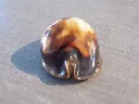 DSCN3159.webp