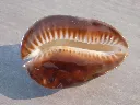 DSCN3160.webp