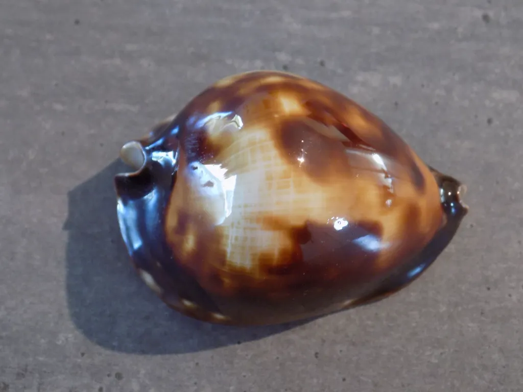 DSCN3161.webp