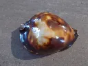 DSCN3161.webp