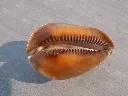 DSCN3167.webp