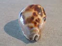 DSCN3171.webp