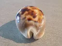 DSCN3172.webp
