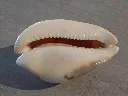 DSCN3173.webp