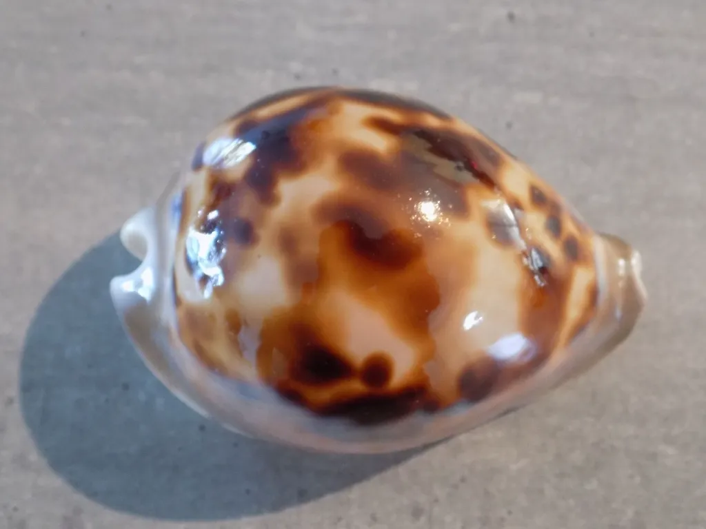 DSCN3174.webp