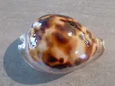 DSCN3174.webp