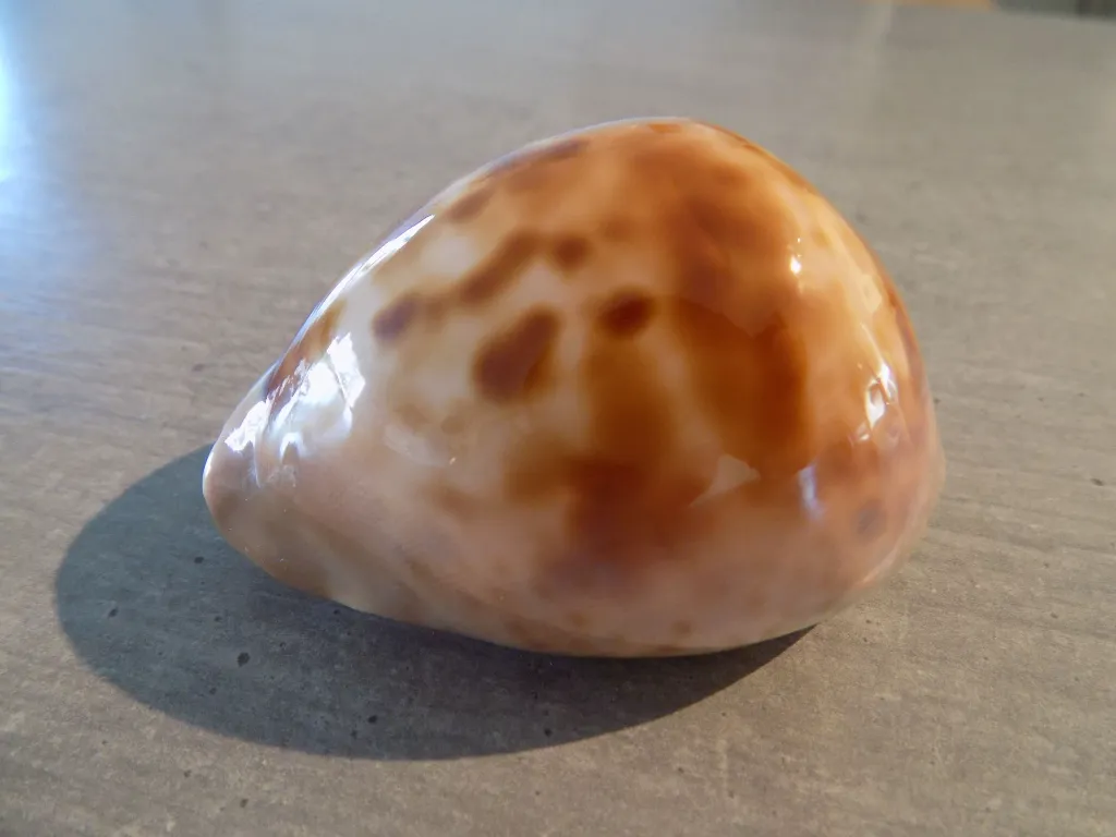 DSCN3176.webp