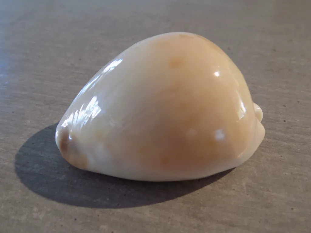 DSCN3183.webp