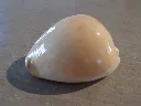 DSCN3183.webp