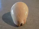 DSCN3184.webp