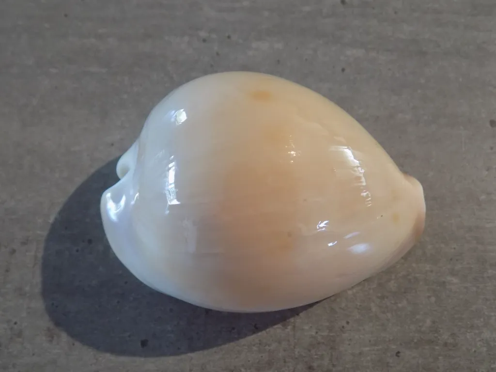 DSCN3187.webp