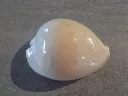 DSCN3187.webp