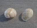DSCN3204.webp