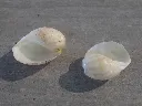 DSCN3205.webp
