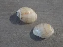 DSCN3206.webp